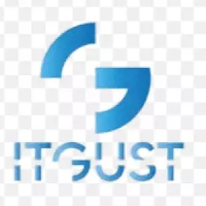 IT Gust-group